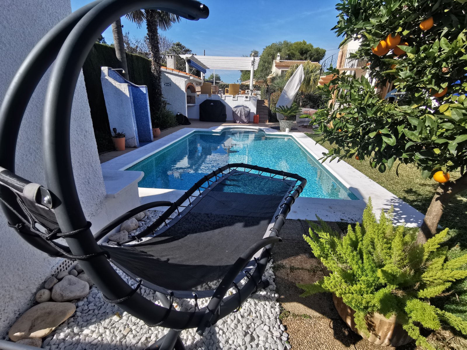 Pool mit Orangenbaum im Garten