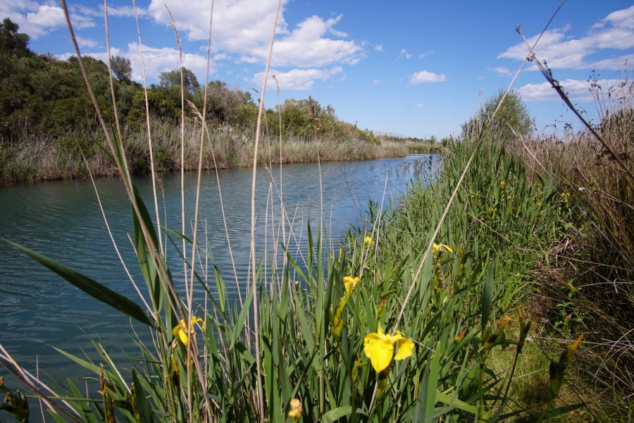 Fluss im Marjal de Pego-Oliva