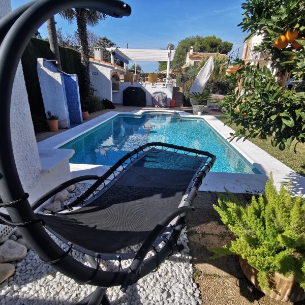 Pool mit Orangenbaum im Garten