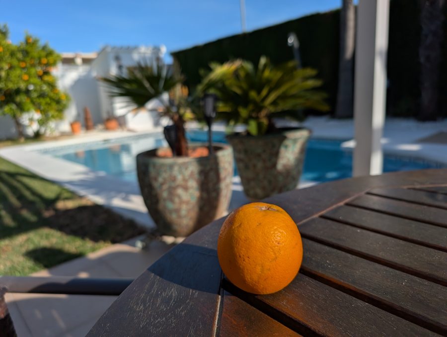 Blick von Pergola auf Pool