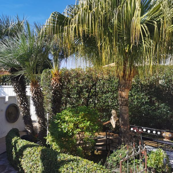 Terrasse Detailansicht